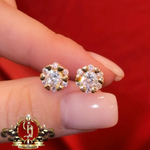 The Shay Studs