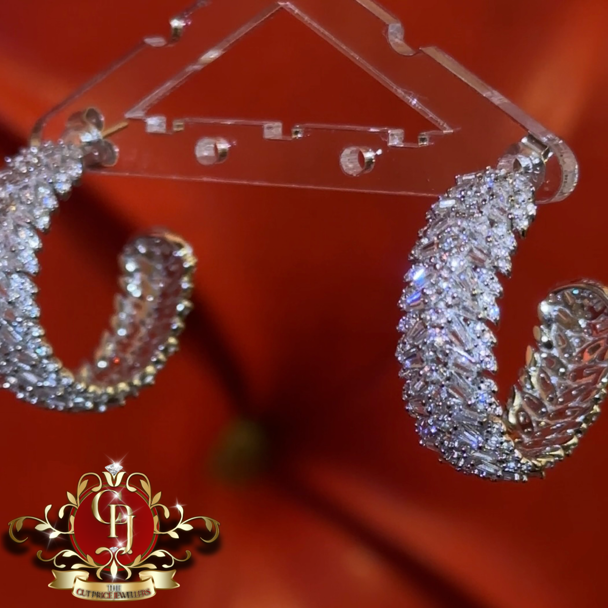 The Aria Hoops